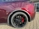 AR Black for all Tesla Model Y - 19 inch