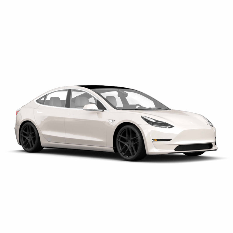 Tesla Model 3 Felgen / Kompletträder - Dotz Lagunaseca Grau in 20 Zoll - Schwarz